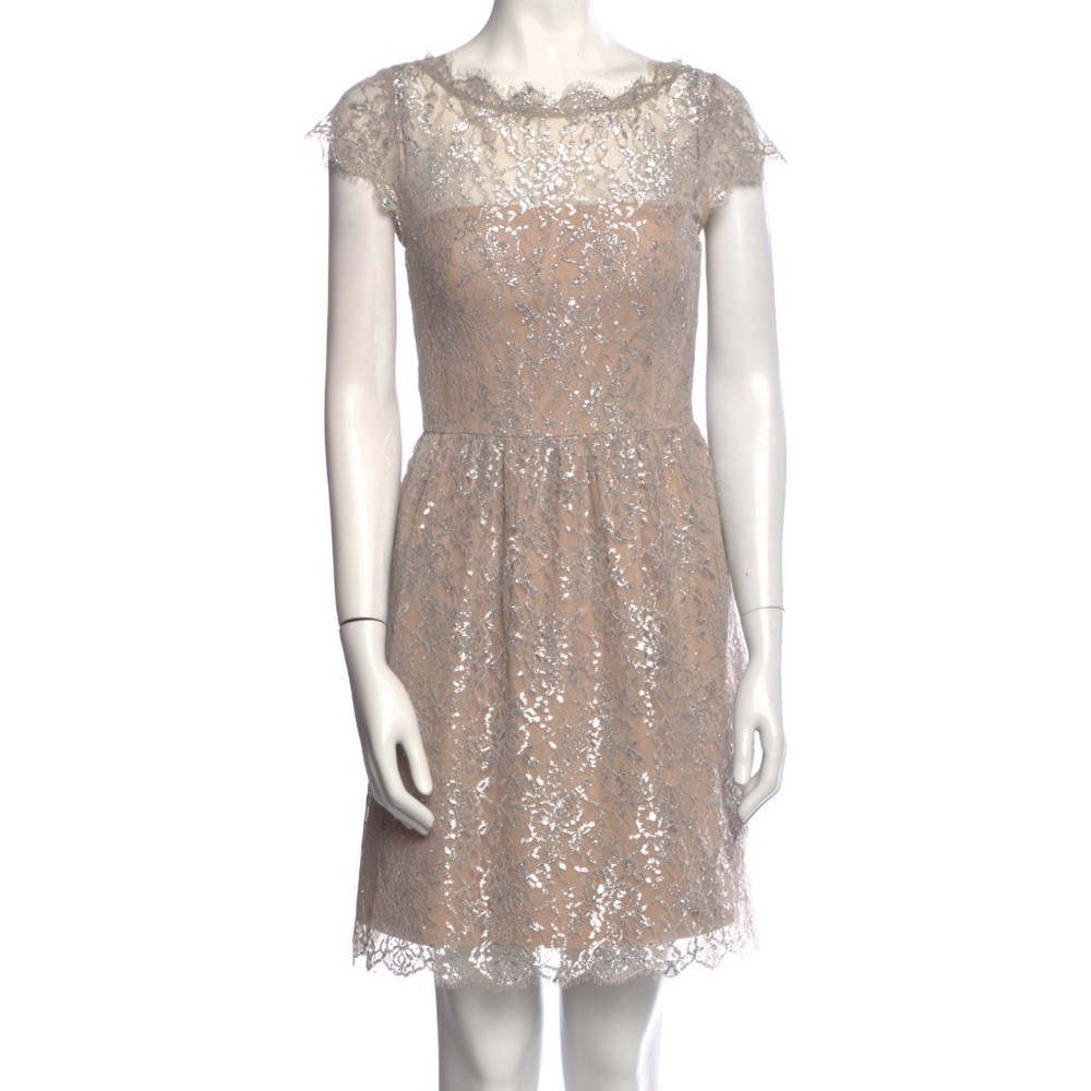 Size 6 silver and nude fitted style cocktail dress w/ silver caviar lace details